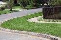 Matilda - Just Laid Around Curb