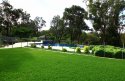 Stunning Lawn Colour, Soft texture 