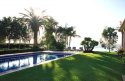 Matilda - Salt and Chemical Tolerant - Great for pool areas