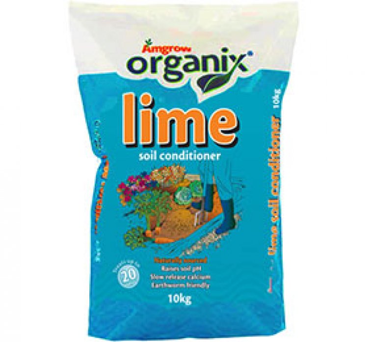 Organix Lime