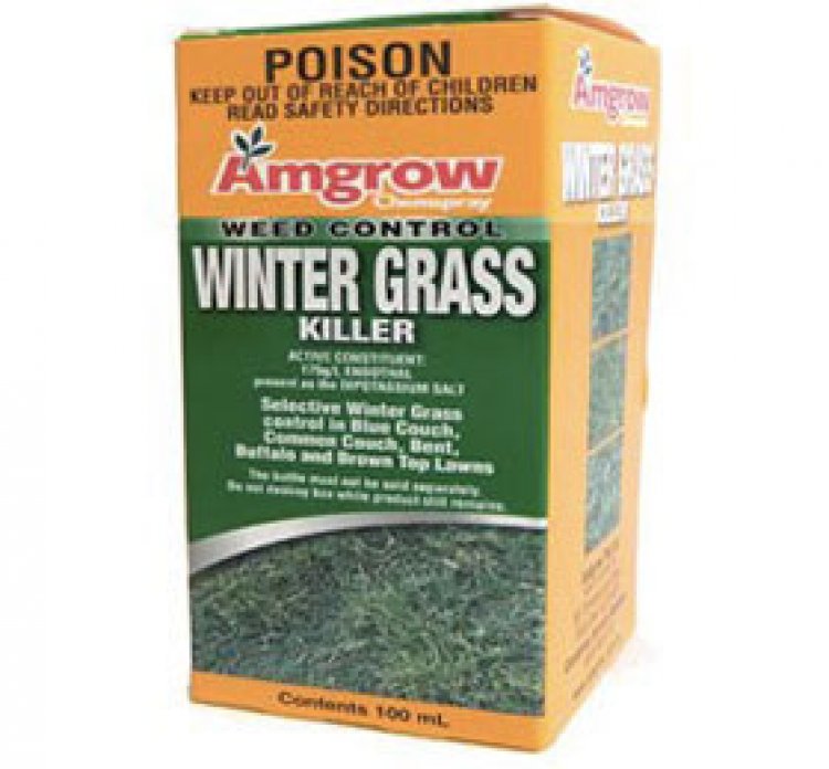 Winter Grass Killer