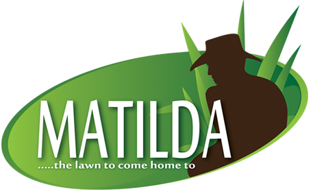 Matilda Turf